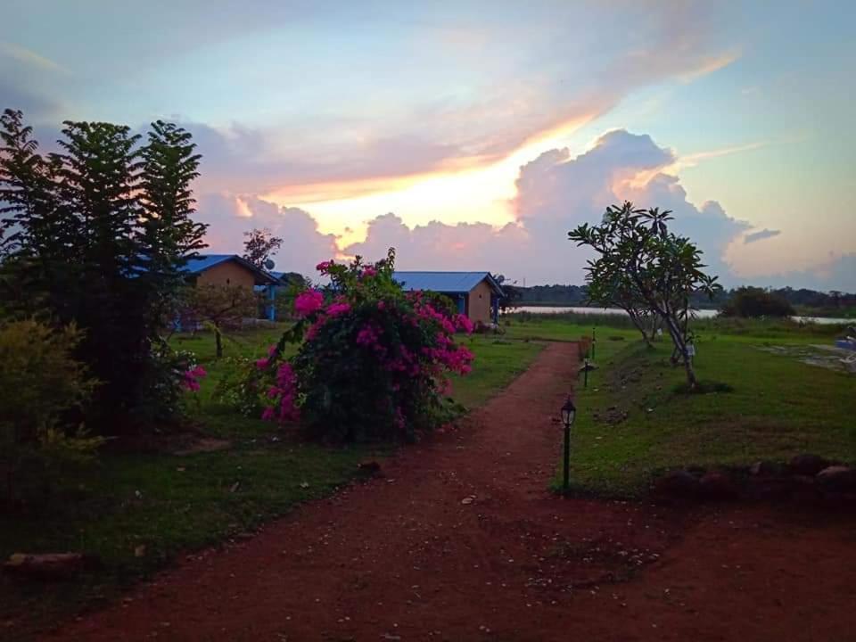Kibissa Rho Sigiriya Lake Edge Retreat מראה חיצוני תמונה