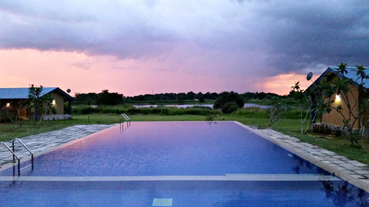 Kibissa Rho Sigiriya Lake Edge Retreat מראה חיצוני תמונה