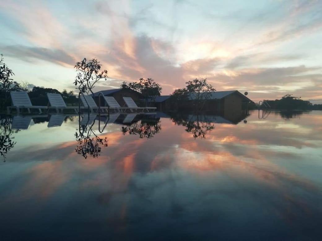 Kibissa Rho Sigiriya Lake Edge Retreat מראה חיצוני תמונה